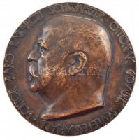 Beck Ötvös Fülöp (1873-1945) 1913. Doktor báró Babarczi Schwartzer Ottónak 60-dik születésnapjára kétoldalas bronz emlékérem (69mm) T:2 ph.