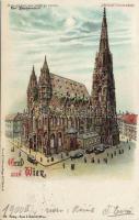 Vienna Stephansdom litho