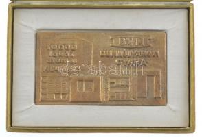 1973. "BVM Dunaújvárosi Gyára - 1000 lakás elemei 1964-1973" egyoldalas, öntött bronz plak...