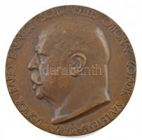 Beck Ötvös Fülöp (1873-1945) 1913. Doktor báró Babarczi Schwartzer Ottónak 60-dik születésnapjára kétoldalas bronz emlékérem (69mm) T:1-