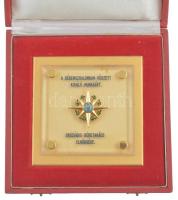 ~1980. "A békemozgalomban végzett kiváló munkáért - Országos Béketanács Elnöksége" plexi é...