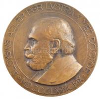Berán Lajos (1882-1943) DN Aloysius Adler per lustra X. med doctor 1860-1910 Skoda-Semmelweis-Pasteur-Röntgen-Ehrlich kétoldalas Br emlékérem (60mm) T:2