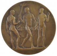 Berán Lajos (1882-1943) DN "Aloysius Adler per lustra X. med doctor 1860-1910 Skoda-Semmelweis-...