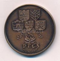 Rétfalvi Sándor (1941-2021) DN "Bárbakán / Mecsek Tourist, Pécs" kétoldalas Br emlékérem (...