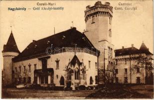 1941 Nagykároly, Carei; Gróf Károlyi kastély. Vasúti levelezőlapárusítás 501. / Castelul Cont. Carolyi / castle (fa)