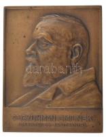 Visnyovszky Lajos (1890-1973) 1921. Dr. Gyurmán Emil egyoldalas bronz plakett (75x60mm) T:2 Hungary 1921. Dr. Emil Gyurmán doctor Br plaque. Sign: Lajos Visnyovszky (75x60mm) C:XF HP-6452.