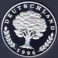 NSZK DN "Fischerpaar - Rügen" Ag 20,1g T:PP