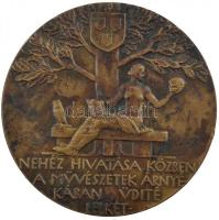 Beck Ötvös Fülöp (1873-1945) 1934. "Dr. Tóth István" kétoldalas Br emlékérem. "TÓTH I...