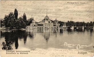 1905 Budapest XIV. Városligeti korcsolyacsarnok. Divald Károly 36. sz. (EK)