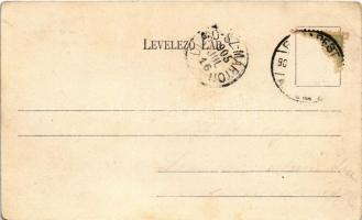 1905 Budapest XIV. Városligeti korcsolyacsarnok. Divald Károly 36. sz. (EK)