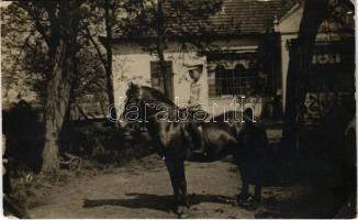1916 Fiú lovon / boy with horse. photo (EM)