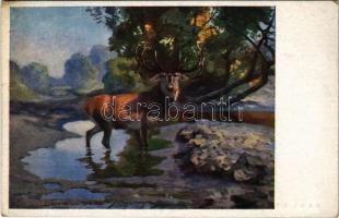 Stag. B.K.W.I. 667-3. (EK)