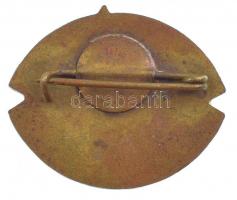 ~1970-1980. "Veszprém Megyei Élelmiszer Kereskedelmi Vállalat" műgyantás jelvény (22x25mm)...