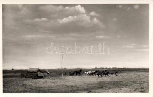 Kecskemét Bugac puszta fotó