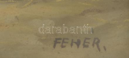 Fehér jelzéssel: Cicák. Olaj, karton. Üvegezett fakeretben. 23,5x34 cm