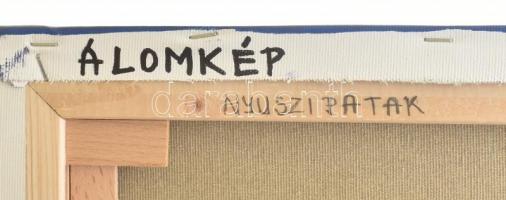 David Beeri (1951-): Álomkép. Olaj, vászon. Jelzett, a hátoldalán autográf felirattal. 50x50 cm