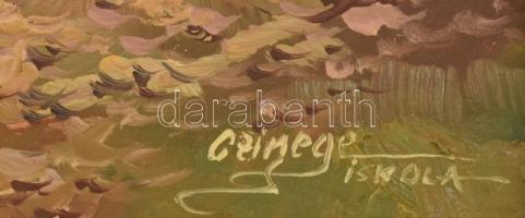 Czinege Zsolt (1964-): Tanya. Olaj, farost, jelzett. Dekoratív fakeretben, 32×40 cm