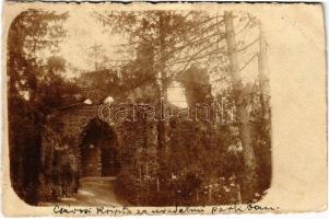 1909 Csávos, Ciavos, Graniceri; Csávossy kastély kripta az uradalmi parkban / crypt in the castle park. photo (fl)