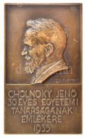 1935. Cholnoky Jenő 30 éves egyetemi tanárságnak emlékére 1935 egyoldalas, öntött Br plakett. Szign.: Edvill és György (103x62mm) T:2 patina