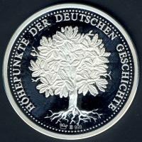 NSZK DN "A Német Vámegyesület alapítása" Ag 20g T:PP