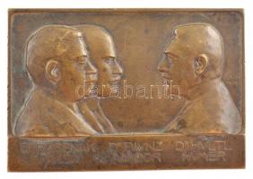 Berán Lajos (1882-1943) 1908. "Dr. Rosenák Miksa - Dr. Paunz Sándor - Dr. Hültl Hümér" kétoldalas Br emlékplakett (55x83mm) T:2,2- patina, ph, kis ü.