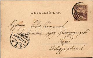 1901 Budapest XIV. Városligeti tó a tópalotával és híddal. Ganz Antal 111. (vágott / cut)