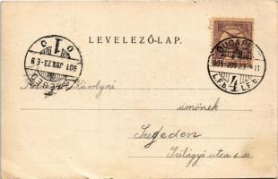 1901 Budapest I. Királyi vár. Divald Károly 10. sz. (EK)