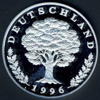 NSZK 1996. "Sanssouci" Ag 20,1g T:PP