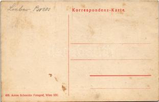 Wien, Vienna, Bécs XV. Rudolfsheim-Fünfhaus, Gruss aus Gimpel-Insel Etablissement Franz Mauler. Fenz...