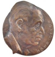 1977. "Selye János (Hans Selye)" egyoldalas Br plakett. Szign.:Hünt (~92mm) T:2