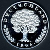 NSZK 1996. "Gorch Fock" Ag 20,1g T:PP