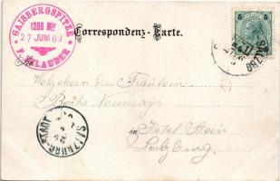 1900 Salzburg, Gruss von der Gaisbergspitze. Verlag v. F. Pflauder Art Nouveau, floral, litho