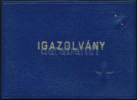 1974 Arcképes gépkocsivezető-oktatói igazolvány