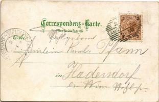 1898 (Vorläufer) Amstetten, Schloss Wallse, Hauptplatz, Wiener Strasse / castle, main square, street...