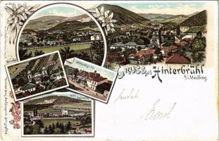 1897 (Vorläufer!) Hinterbrühl, Höldrichsmühle, Kirche, Hotel Paulinenhof / mill, church, hotel. Regel & Krug Art Nouveau, floral, litho (EB)