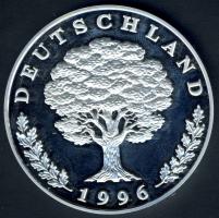NSZK 1996. "Spreewald" Ag 20,1g T:PP