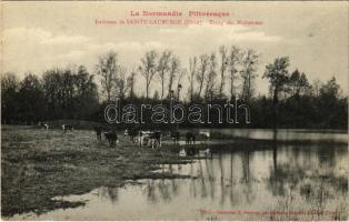 Sainte-Gauburge-Sainte-Colombe, Environs de Sainte-Gauburge (Orne), Etang du Nuisement / cattle