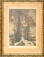 Olgyai Viktor (1870-1929): Téli táj. Színezett litográfia, papír, jelzett a litográfián. Dekoratív, üvegezett fakeretben. 35×26,5 cm
