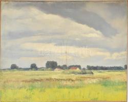 Sárdy Brutus (1892-1970): Zöldellő táj. Olaj, vászon. Jelzés nélkül. Kartonra kasírozva, 44,5x55 cm.