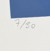 Halász Szabó Sándor (1920-1997): Hullámzó formák. Szitanyomat, papír, jelzett, számozott (7/30), 42x...