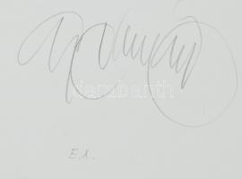 Gyémánt László (1935-): Akt. Szitanyomat, papír, jelzett, művészpéldány E.A. jelzéssel, lapméret: 65...