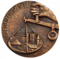 DN Településfejlesztésért - BK / Bács-Kiskun Megye Tanácsa és a Hazafias Népfront Megyei Bizottsága öntött bronz emlékplakett eredeti tokban (106mm) T:1-
