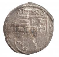 1524. Denár Ag II. Lajos (0,55g) T:2- Hungary 1524. Denar Ag Louis II (0,55g) C:VF Huszár 846., Unger I.: 675