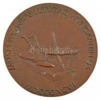 DN "Magyar Mezőgazdasági Múzeum 1896 / Museum Agriculturae Hungariensis MDCCCXCVI" Br plak...