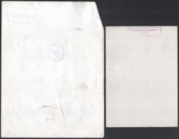 cca 1970-1980 Divatfotók, 6 db, 3 fotón kettő pecséttel jelzett, 3 fotón gyűrődésnyomokkal és ezek k...