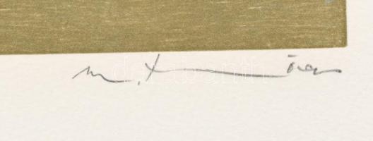 Martin Thönen (1942-): Föld. Fametszet, papír, jelzett, művészpéldány (epreuve d'artiste), 31×3...