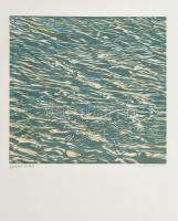 Martin Thönen (1942-): Víz. Fametszet, papír, jelzett, művészpéldány (epreuve dartiste), 31×33 cm