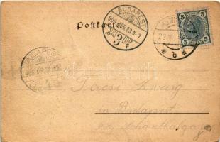 1906 Wien, Vienna Bécs XVIII. Ig. Schreiner's Gast-, Senn- und Winzerhaus Schafberg-Alpe. Natur...