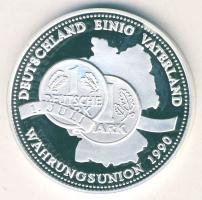 NSZK 1990. "Német Pénzügyi Szövetség" Ag 20,1g T:PP