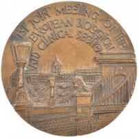 Borsos Miklós (1906-1990) 1956. "Balaton part" öntött Br plakett (~143x128mm) T:1-
Hungar...